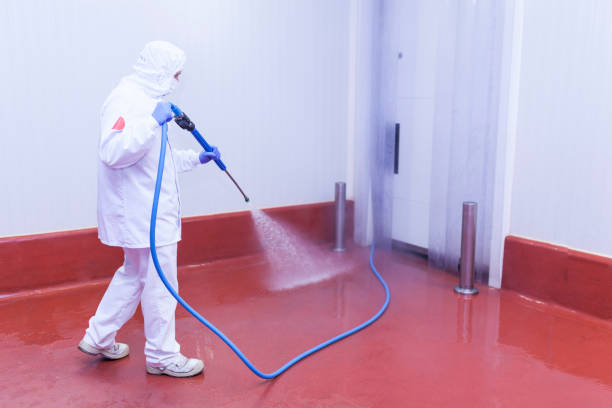 Best Rust Removal  in Landen, OH